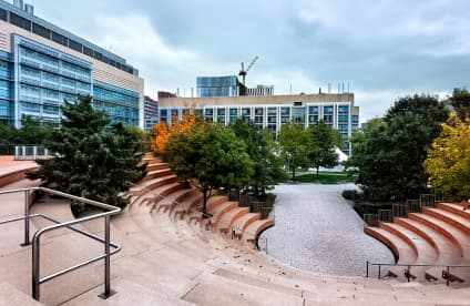 Basic UI & UX Design for new development